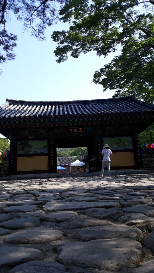 KakaoTalk_20190512_095535722_02.jpg